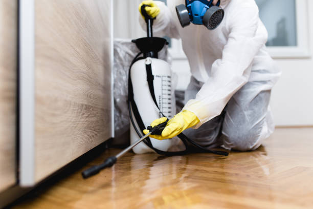 Best Residential Pest Control  in Robbinsdale, MN