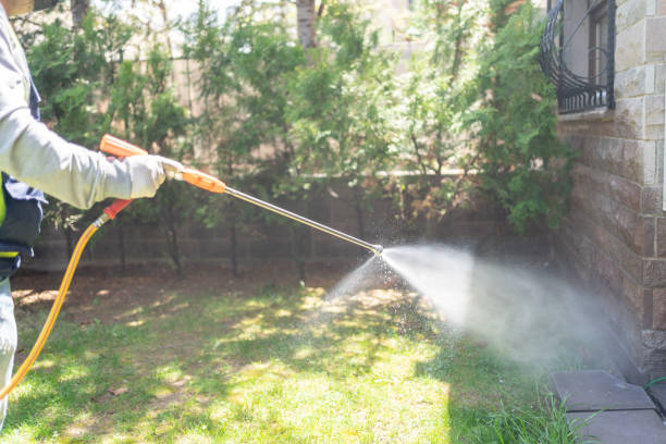 Best Emergency Pest Control  in Robbinsdale, MN