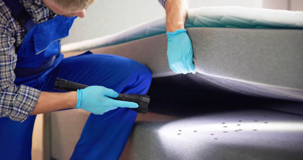 Best Pest Control Near Me  in Robbinsdale, MN