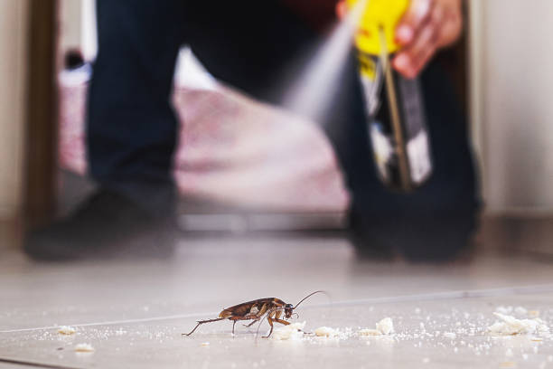 Best Flea Control Services  in Robbinsdale, MN