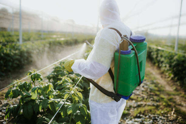 Best Mosquito Control Services  in Robbinsdale, MN